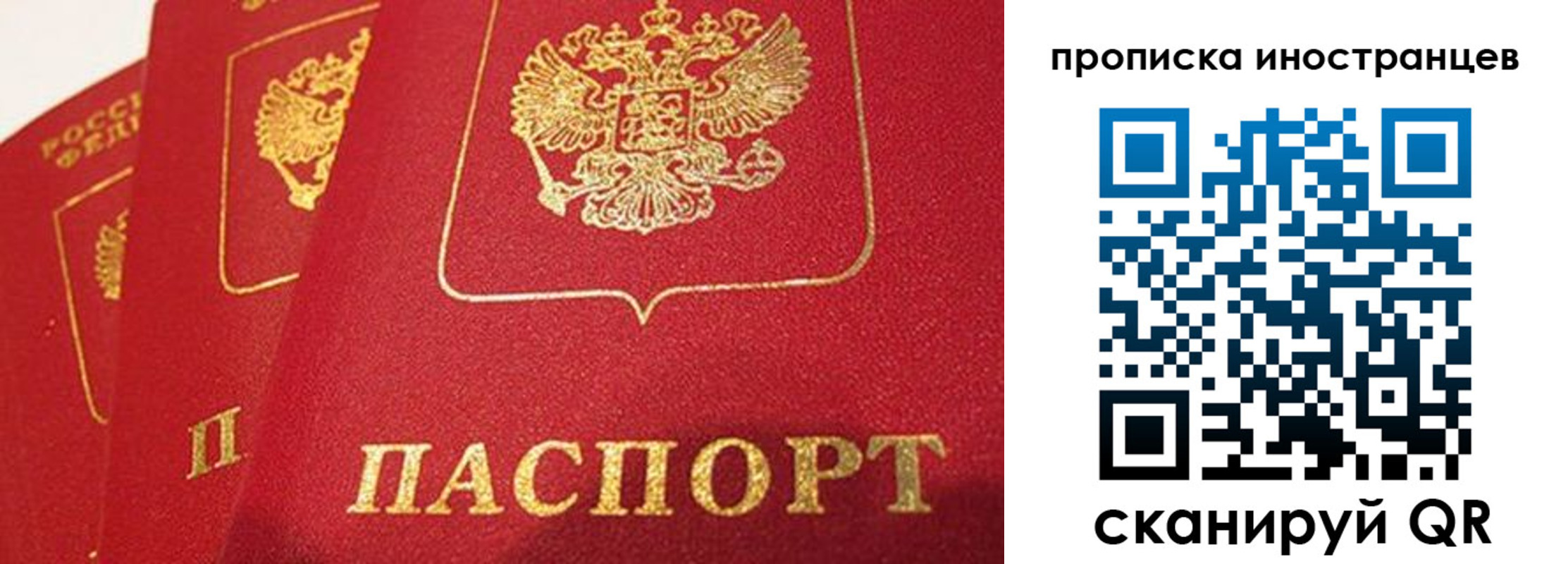 прописка поиск в Ярославской области